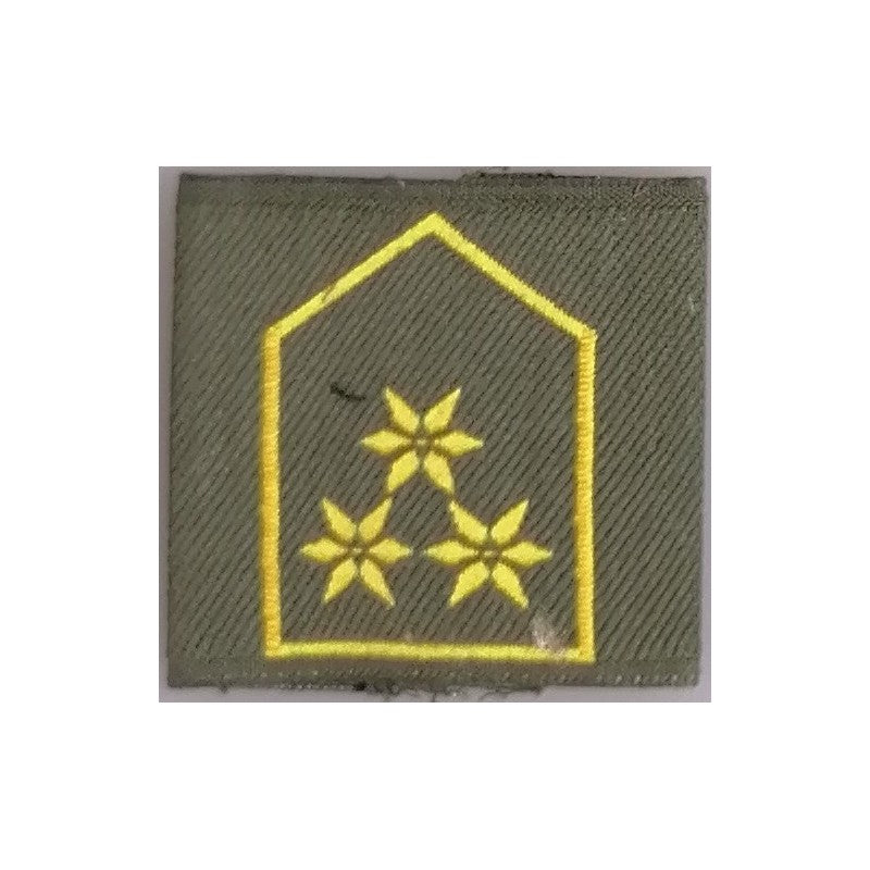 DIENSTGRADSCHLAUFE HAUPTMANN